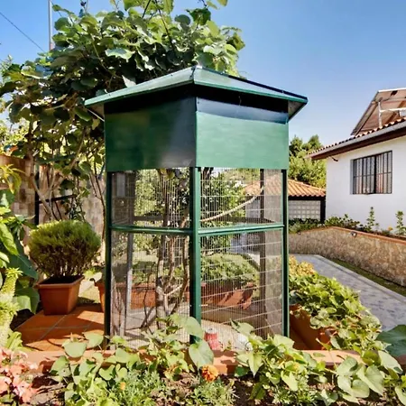 Private Pool 20min By Oporto * אוליביירה דה אזמיס