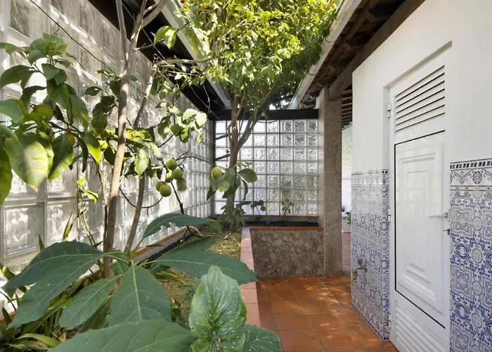 Private Pool 20min By Oporto *