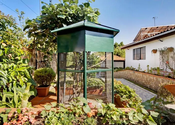 Private Pool 20min By Oporto * Oliveira de Azeméis